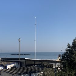 Pinguino 11 006