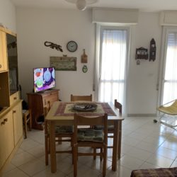 Armida 6 009 Armida 6 009