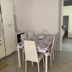 PINGUINO 14 005 PINGUINO 14 005