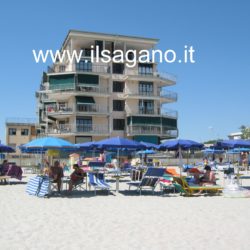 Granchio 45 001