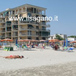 Granchio 39 001