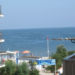 INES 6 008