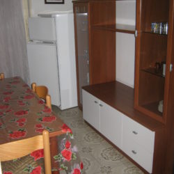 INES 6 015
