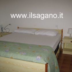 Pinguino 13 009