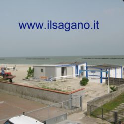 Pinguino 13 016